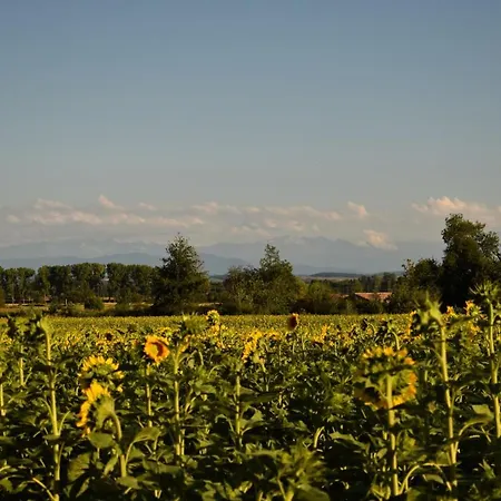 住宿加早餐酒店 La Cascadeta Marignac-Lasclares